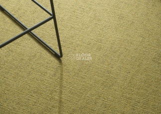 Canvas Canvas 230 фото 2 | FLOORDEALER